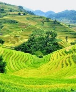 Tour Hà Giang 5 ngày 4 đem