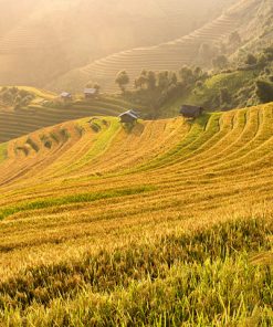 Tour du lịch Sapa 3 ngày 2 đêm