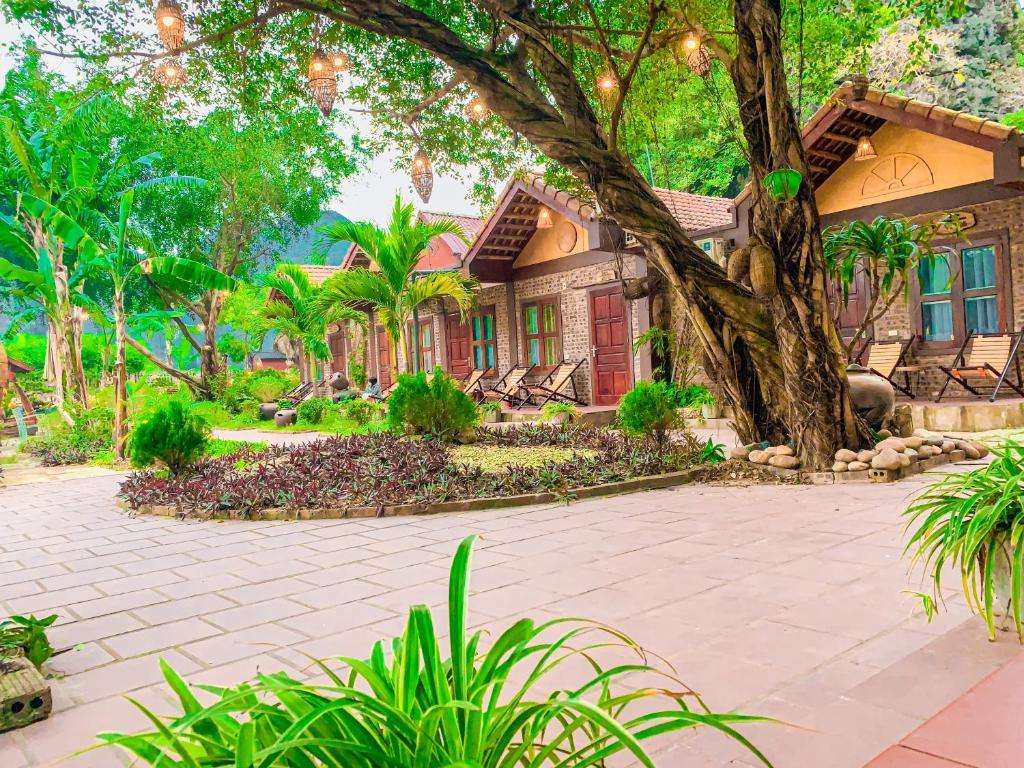 Hình ảnh phòng Bungalow Giường đôi