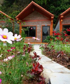 Serena riverside homestay - Tràng An